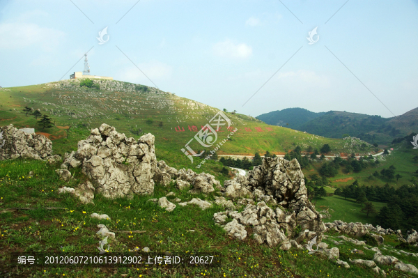 百里荒山楂樹文化園