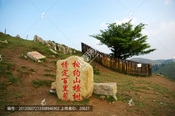 百里荒山楂樹文化園