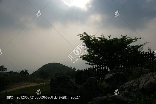 百里荒山楂樹文化園