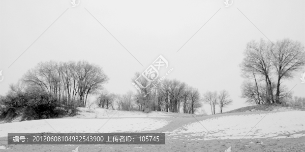 水墨胡楊