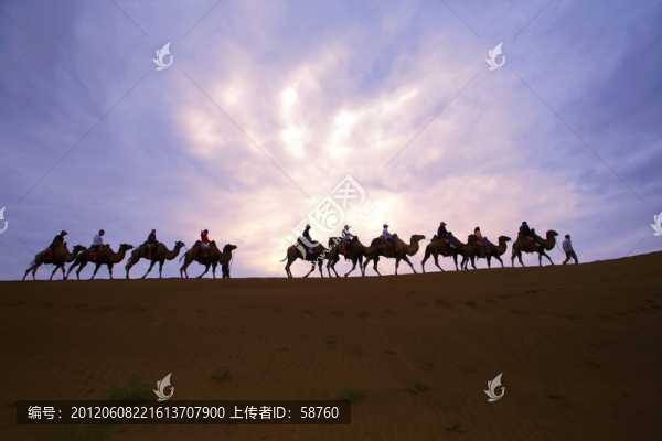 庫布其沙漠,駝隊(duì)