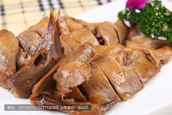 麥香大皇鴿
