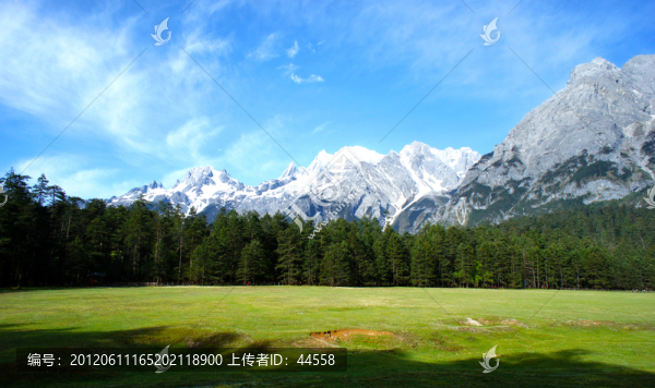 雪山,草原
