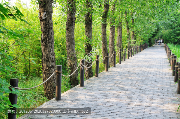 溱潼濕地