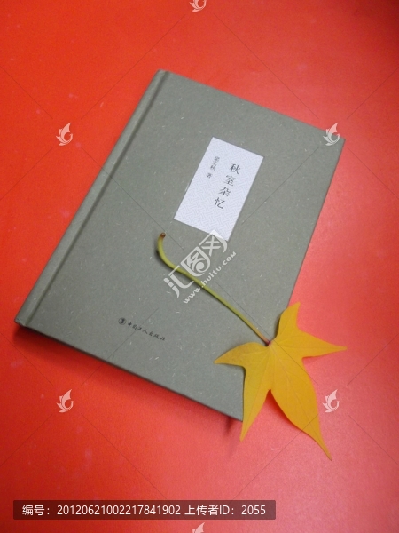 葉子與書籍
