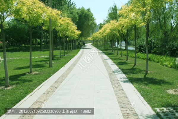 路
