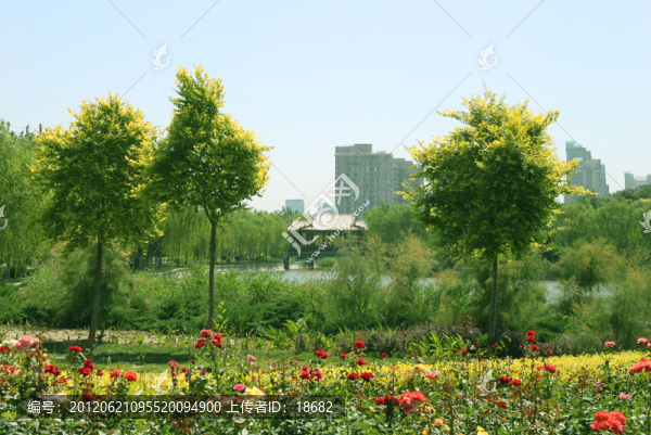 公園