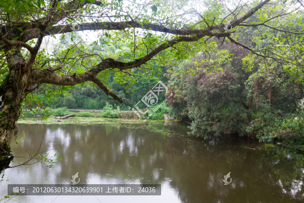 繽紛湖景
