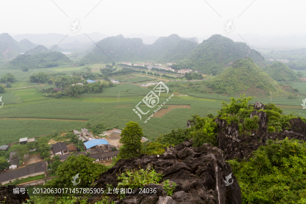 廣西龍州,蔗田風(fēng)光