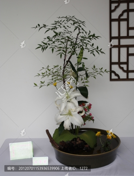 插花盆景