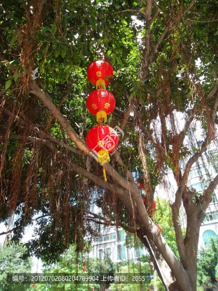 番禺東涌水鄉(xiāng)景點(diǎn),燈籠