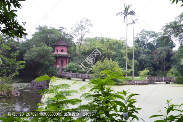 廣西龍州,中山公園,湖泊