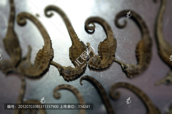 油炸食品,海馬
