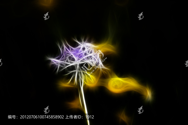 花兒