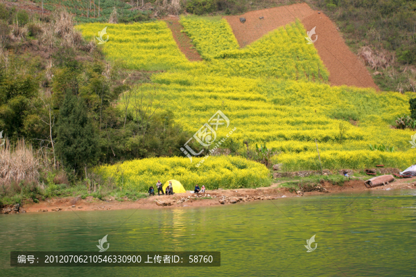 長江支流神農(nóng)溪,油菜花