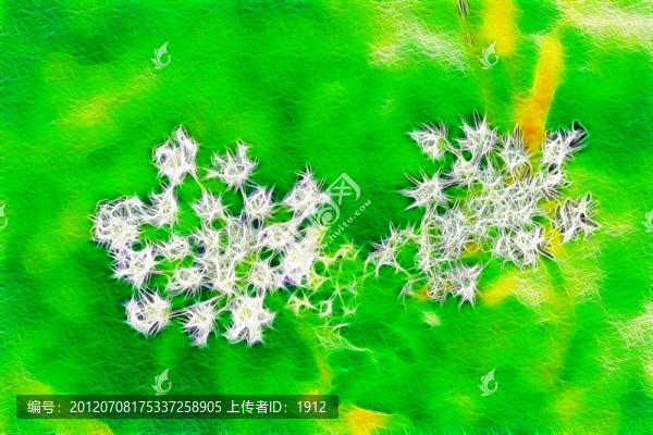 野花
