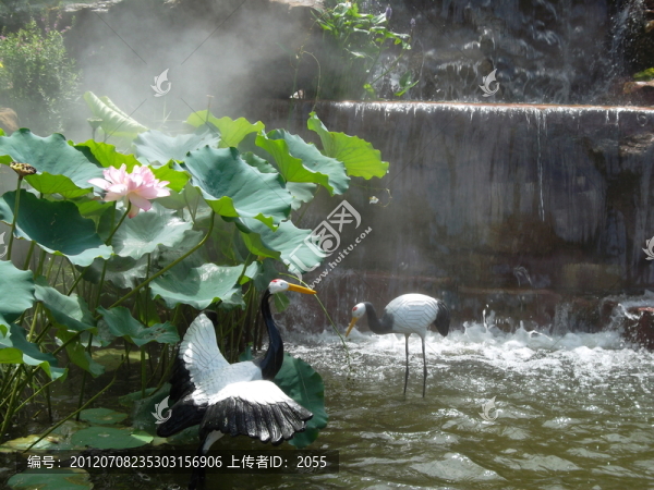 蓮花仙境