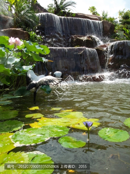 蓮花仙境