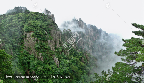 黃山云霧