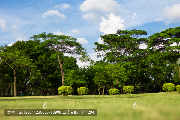 林木草地
