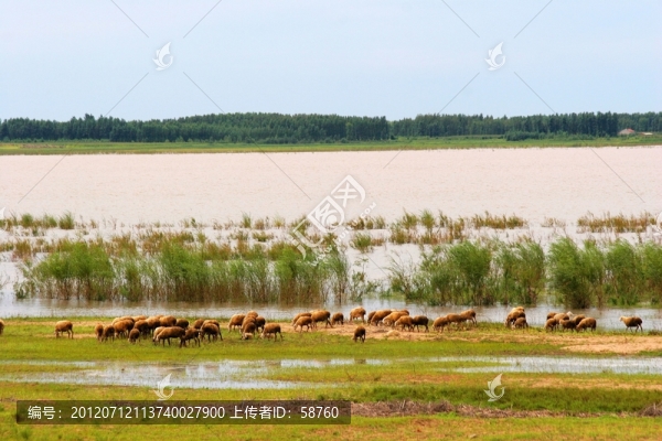 莫力廟沙湖
