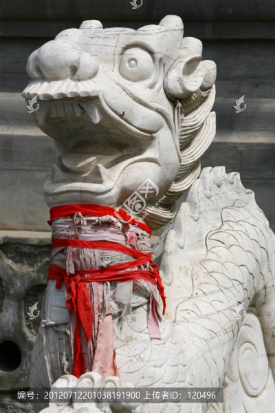 龍