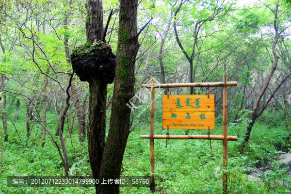 通遼大青溝風(fēng)景區(qū),御馬樁
