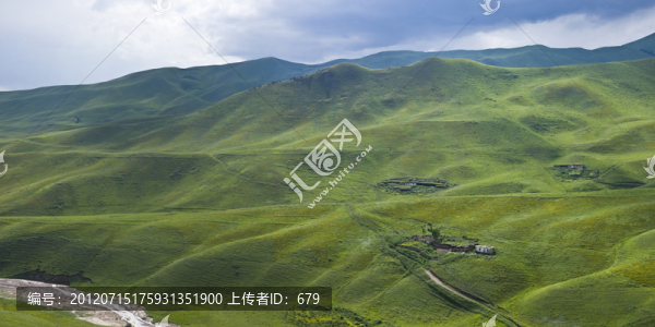 草原