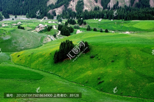 新疆高山草場