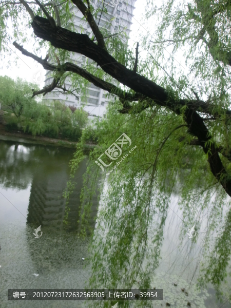 江蘇師大校園玉泉河