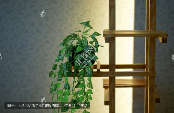 吊蘭