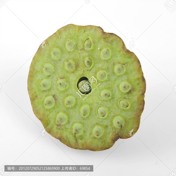 蓮蓬