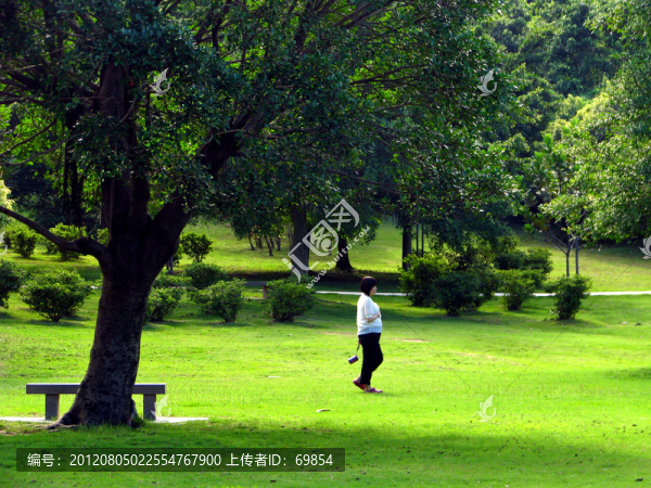 公園散步的孕婦
