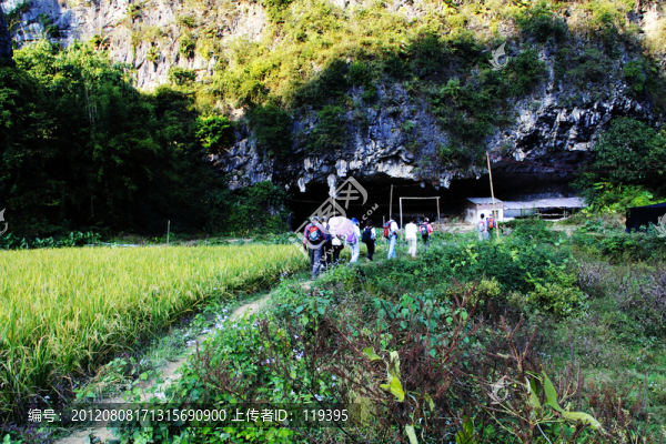 田野