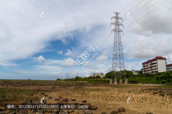 紅樹林旁的電力輸運高架塔