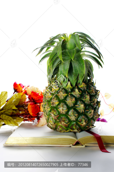 青菠蘿