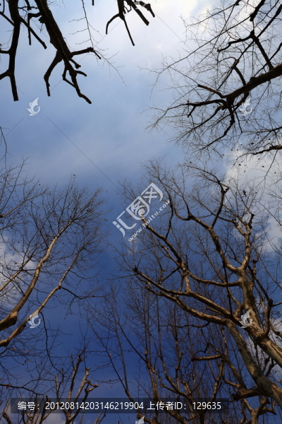 冬天的天空