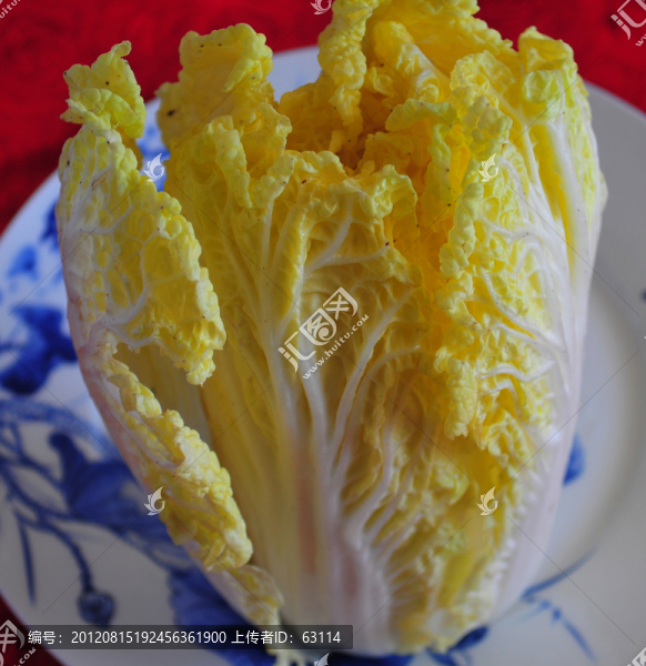 食材,白菜