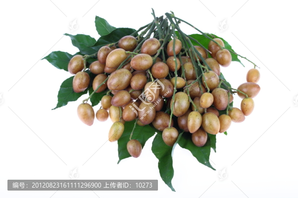 黃皮