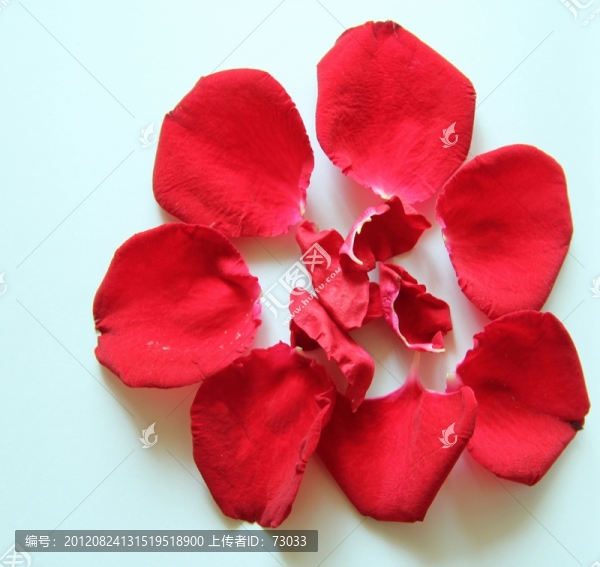 玫瑰花瓣