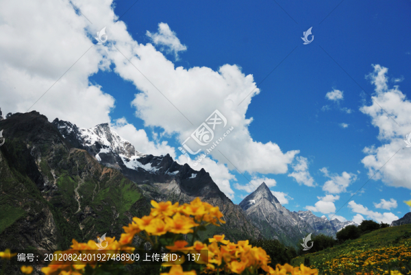 花季四姑娘山