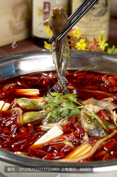 川味昂刺魚(yú)