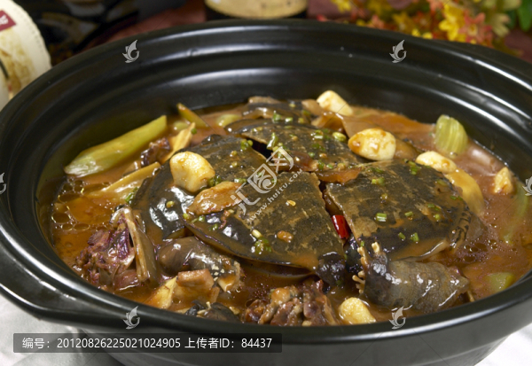 金牌甲魚(yú)煲