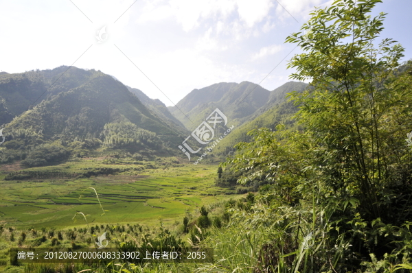 田園風(fēng)光