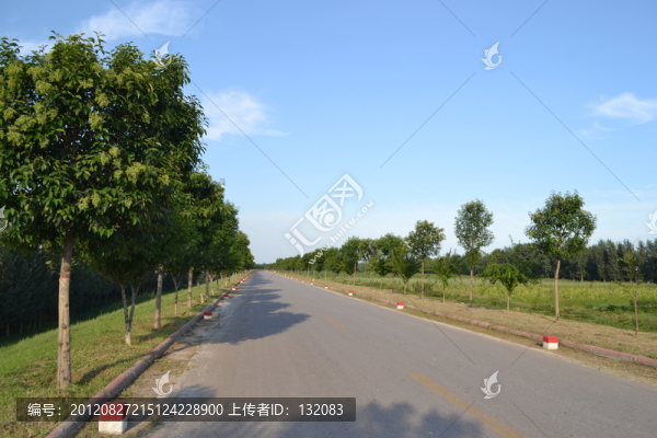 黃河大堤