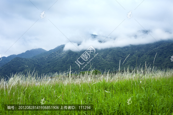 草地山脈云霧