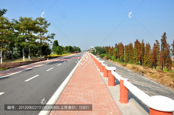 綠道