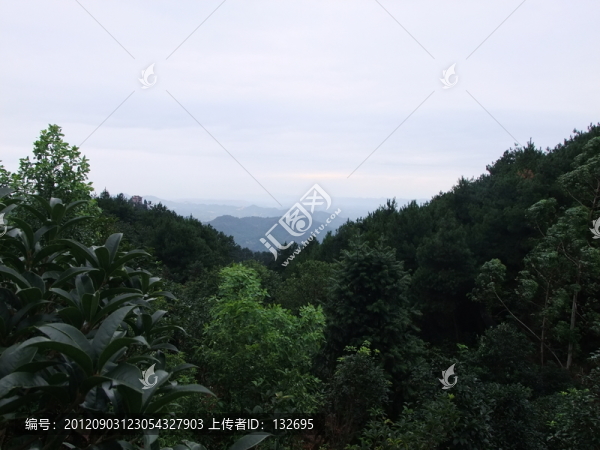 空山清雨后