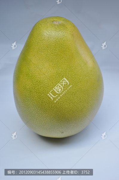 蜜柚