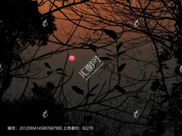 夕陽